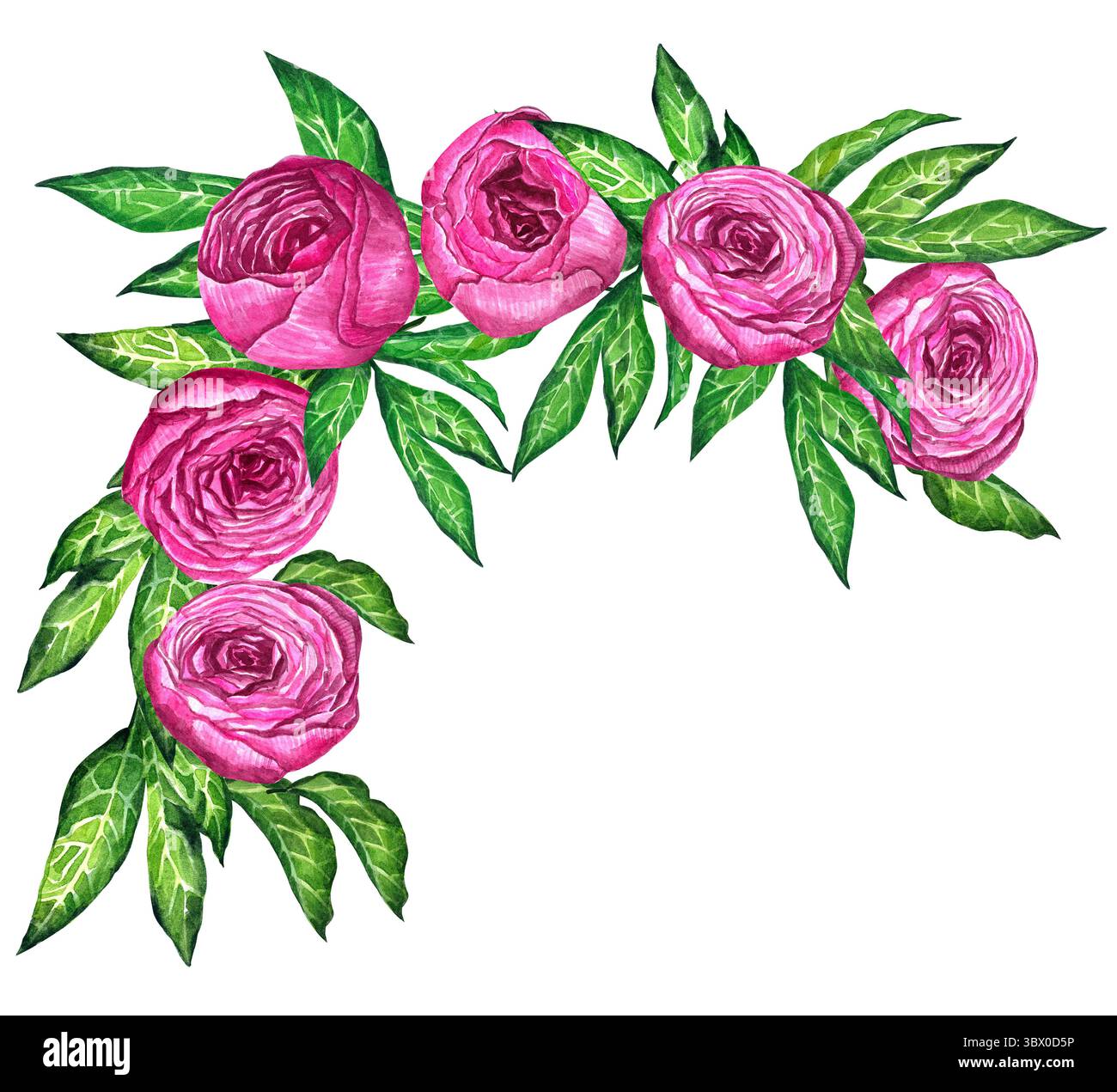 Watercolor peony bouquet illustration. Hand draw flowers illustration ...