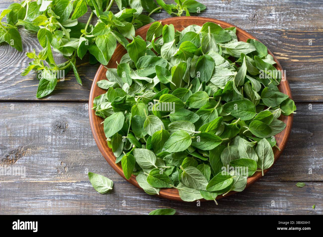 Fresh oregano leaves arranged on plate, ready for drying on rustic wooden table. Organic culinary herb used in cooking, herbal tea, and natural Stock Photo