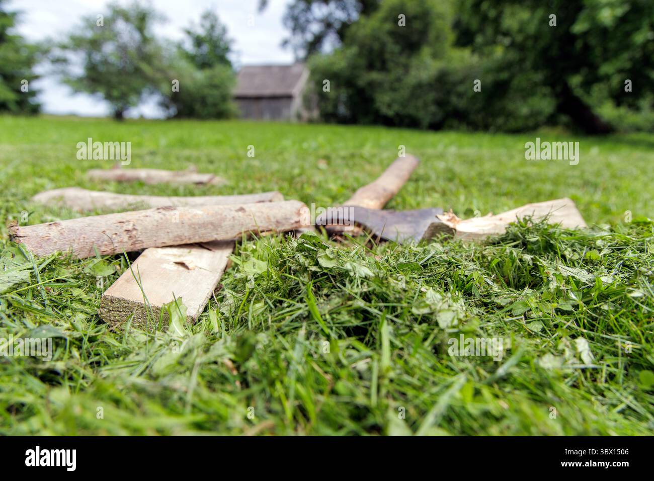 An axe and chopped wood lie on freshly cut grass, with a blurred rustic barn and trees in the background. Stock Photo