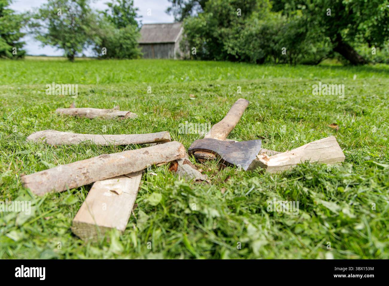 An axe and chopped wood lie on freshly cut grass, with a blurred rustic barn and trees in the background. Stock Photo