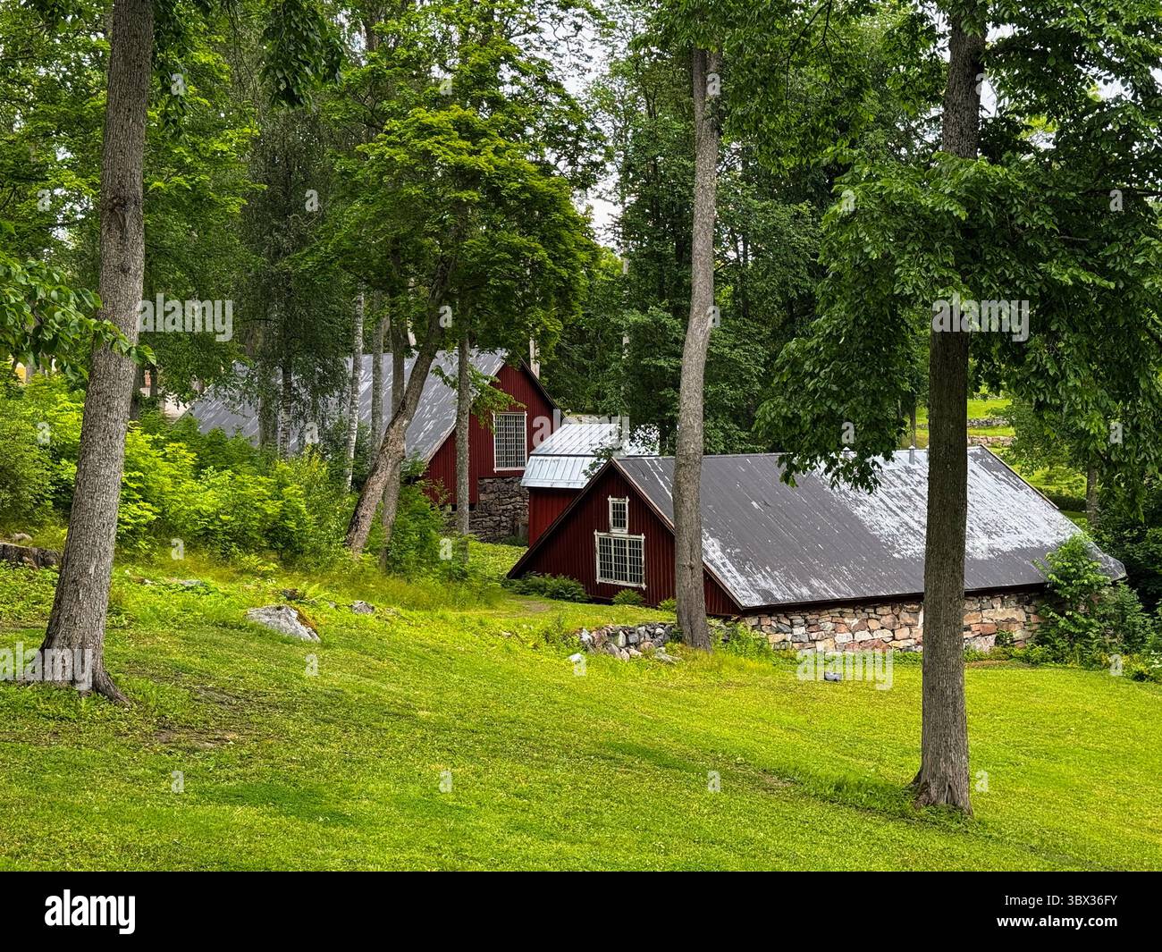 Traditional red barns among tall trees in Fagervik, Inkoo, Finland  a historic ironworks village full of nature and cultural heritage. - Smartphone Captured Stock Image