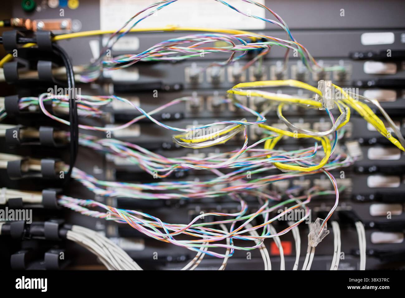 Flat vector is showing multicolored twisted-pair and yellow-sheathed cables through plastic rings. Technology, networking, infrastructure, data, hardw Stock Photo