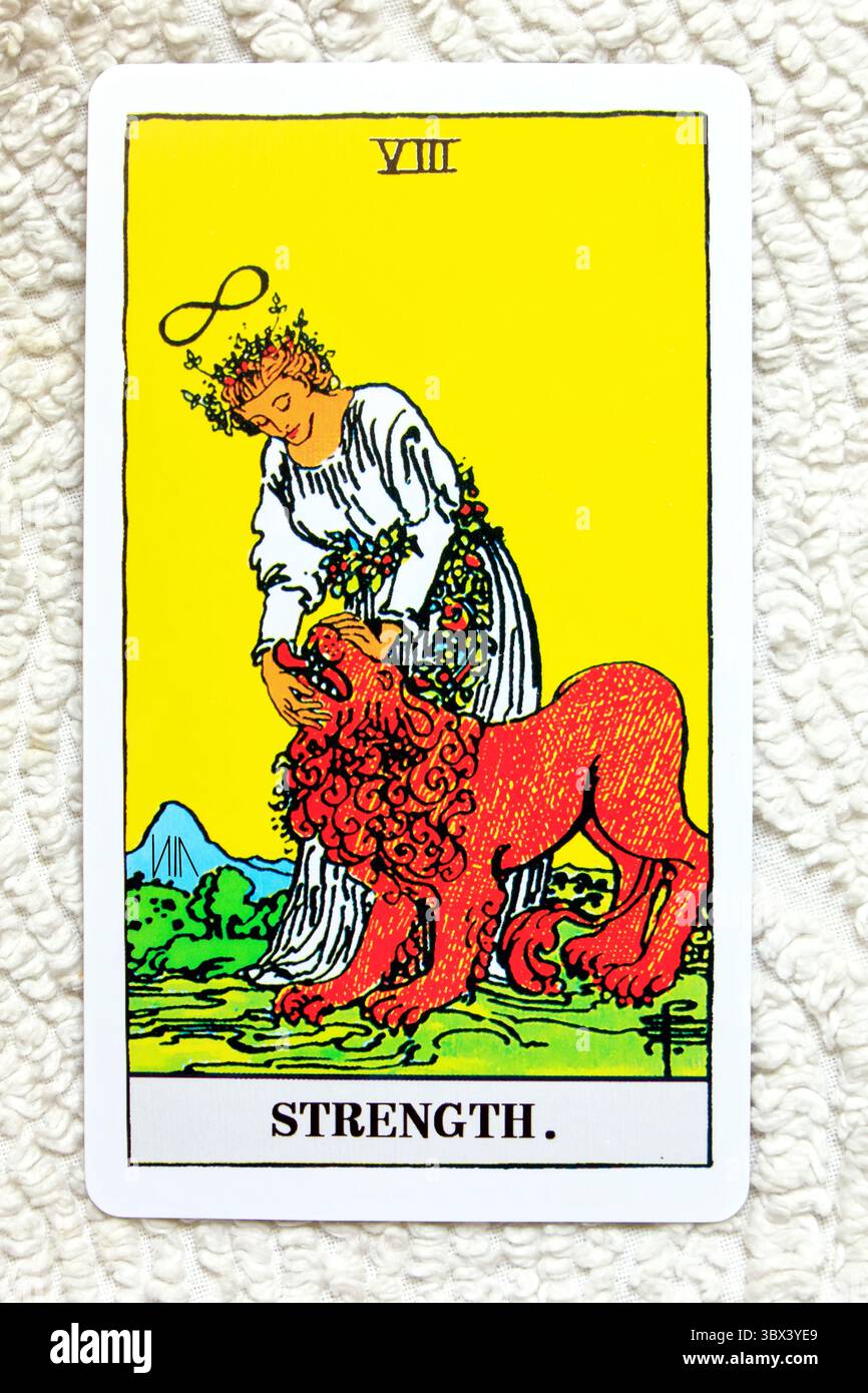 Strength card - number 8 - Individual Tarot card studio set up on ...