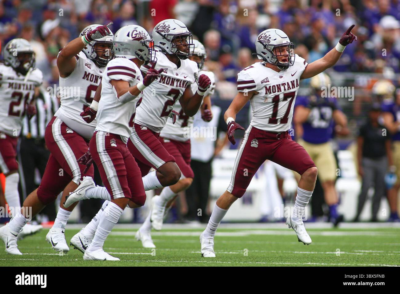 Montana Grizzlies safety Robby Hauck (17) tackles Washington Huskies tight  end Cade Otton (87) during the third quarter of an NCAA college football ga  Stock Photo - Alamy