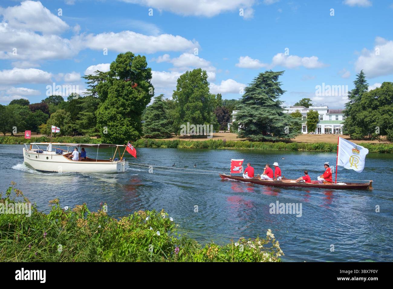 The 2025  annual ceremony of swan-upping on the River Thames Stock Photo
