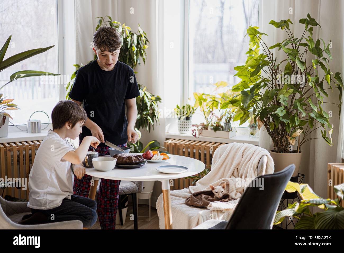 Two brothers having breakfast in sunny room with houseplants, cake, fruit, and cozy cat Stock Photo