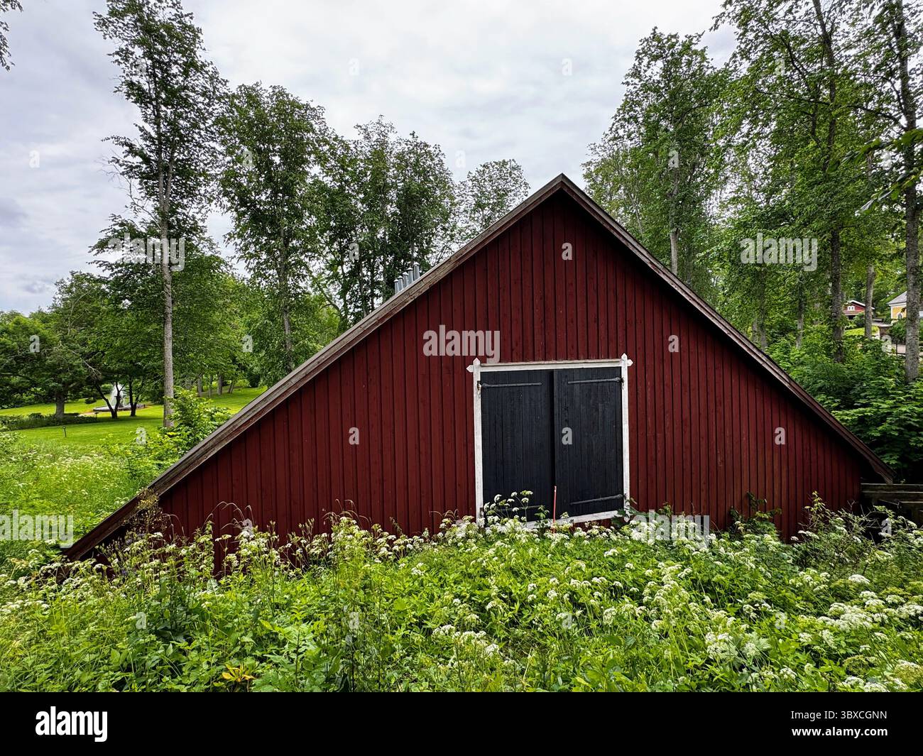 Traditional red barn with gable roof surrounded by summer greenery in Fagervik, Uusimaa  Finnish countryside heritage. - Smartphone Captured Stock Image