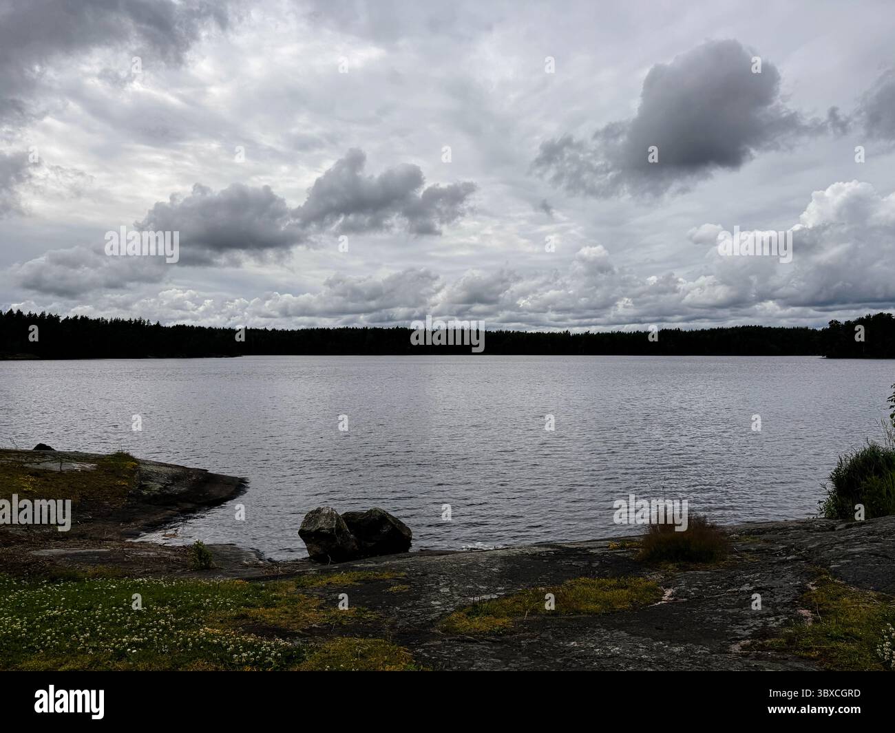 Calm rocky shore and cloudy sky near Fagervik, Inkoo, Finland  peaceful lakeside landscape in summer. - Smartphone Captured Stock Image
