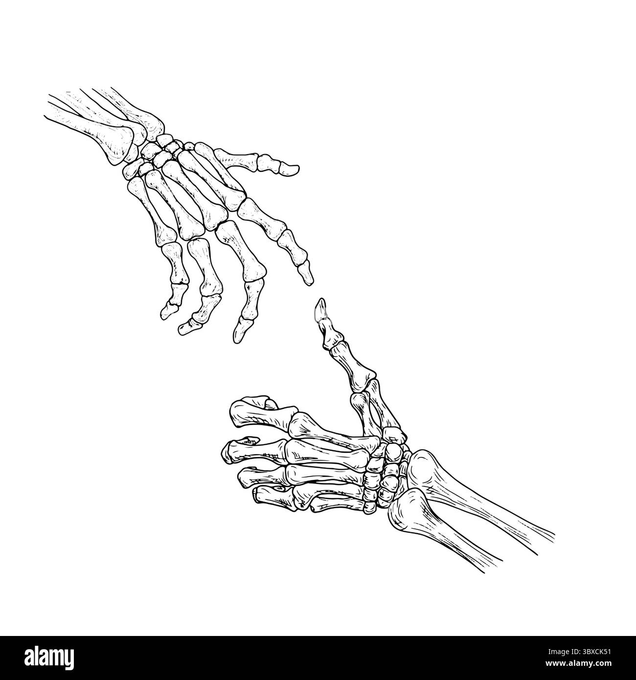 Dead man's hands with bony fingers, black and white sketch. Vector ...