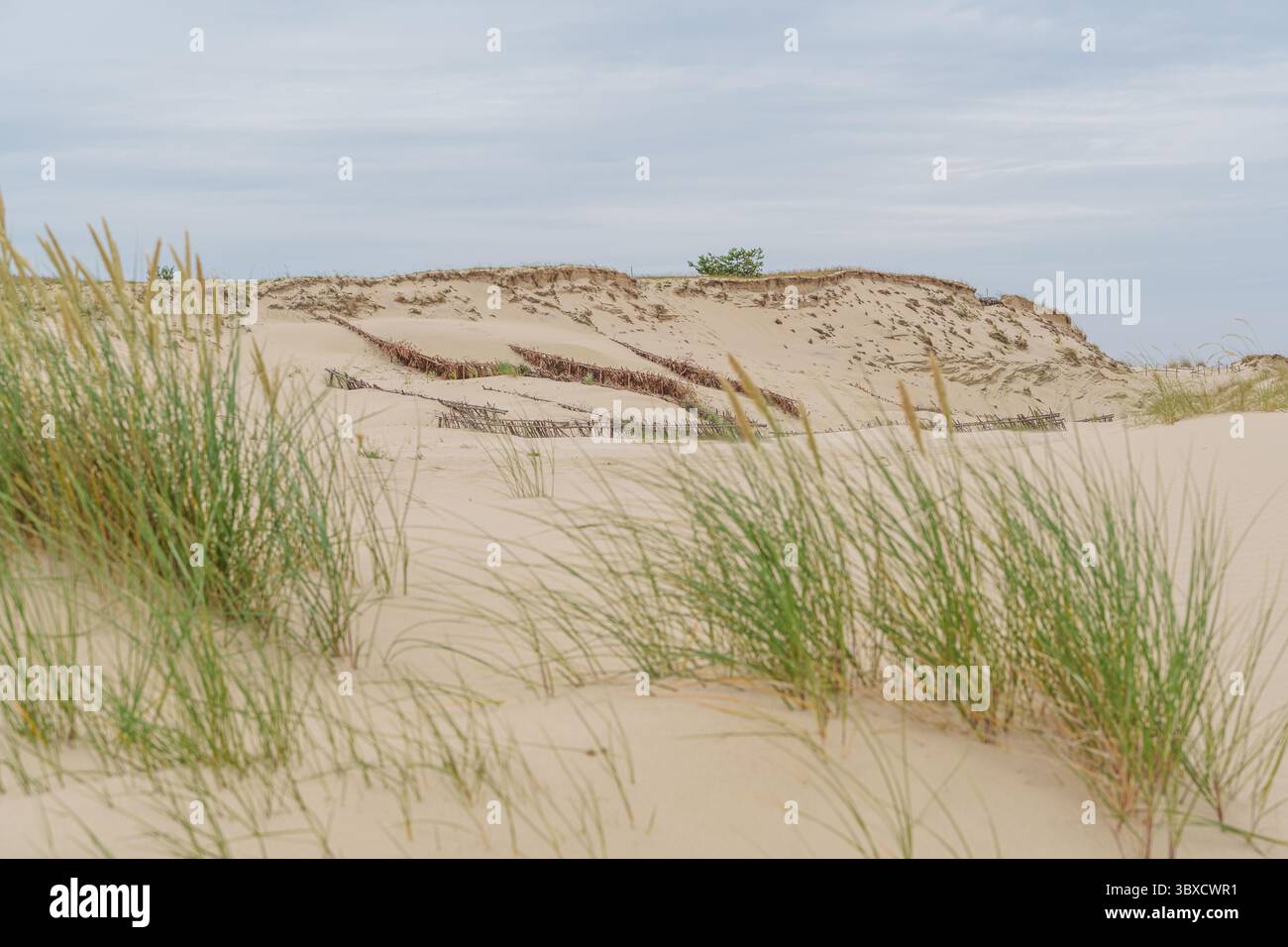 Parnidis dunes lithuania hi-res stock photography and images - Alamy