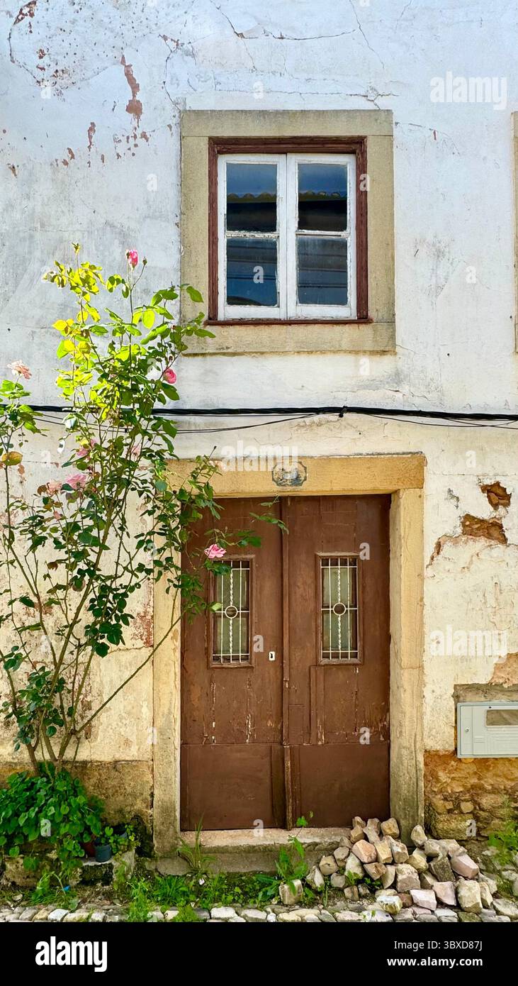 Woodpile in front of rustic house in rural Portugal - Smartphone Captured Stock Image