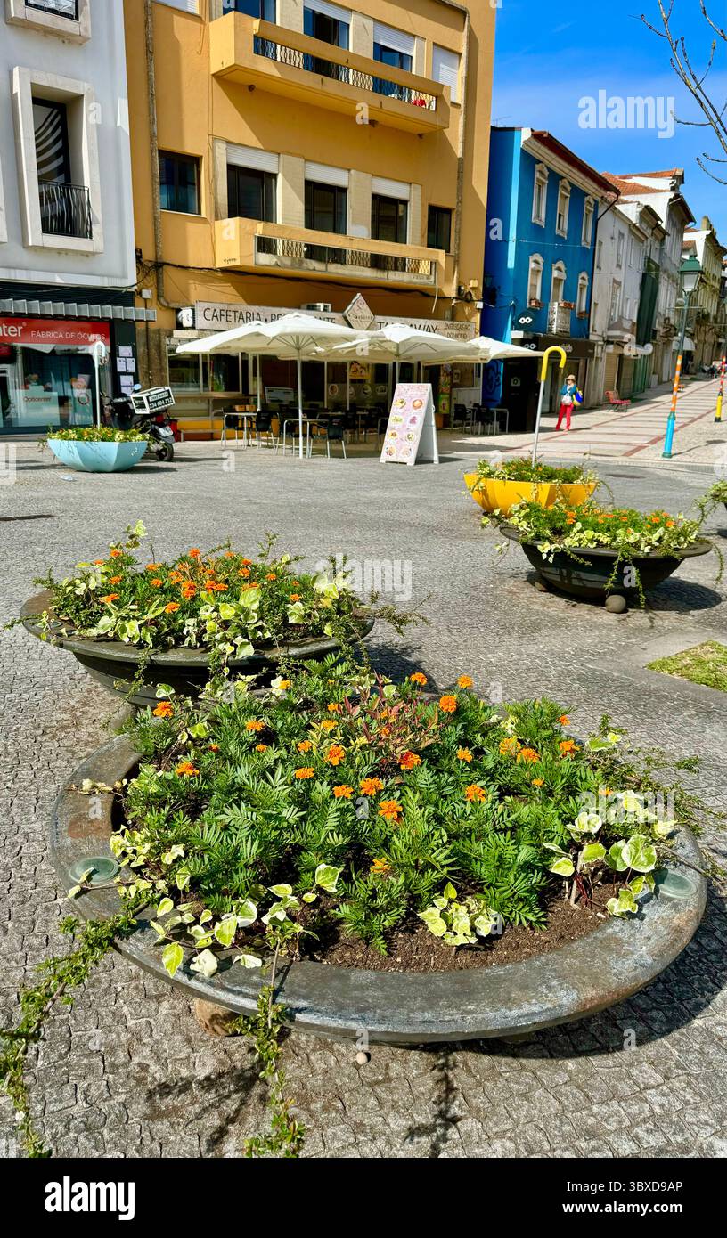 Large flat flowerpots in Agueda Portugal - Smartphone Captured Stock Image