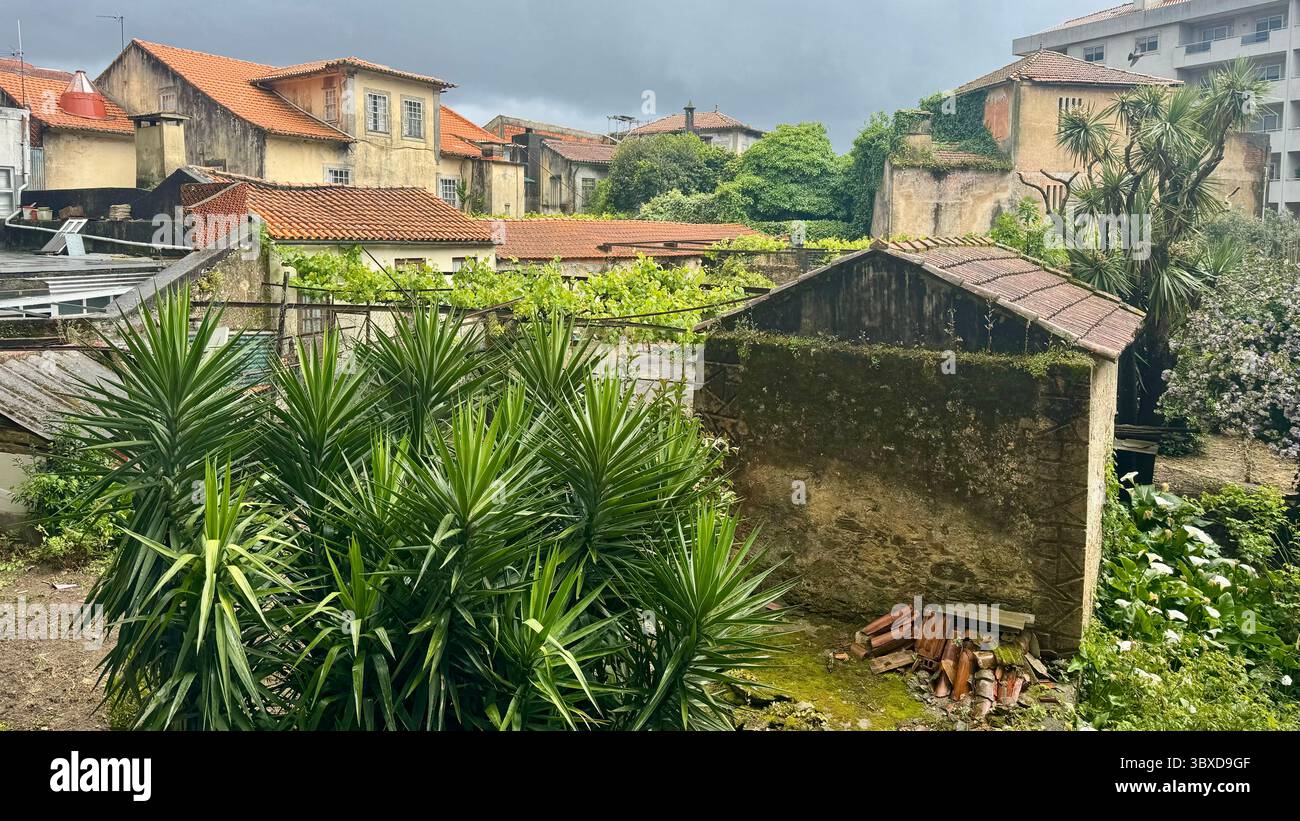 Terracotta rooftops on traditional houses in Oliveira de Azeméis Portugal Stock Photo