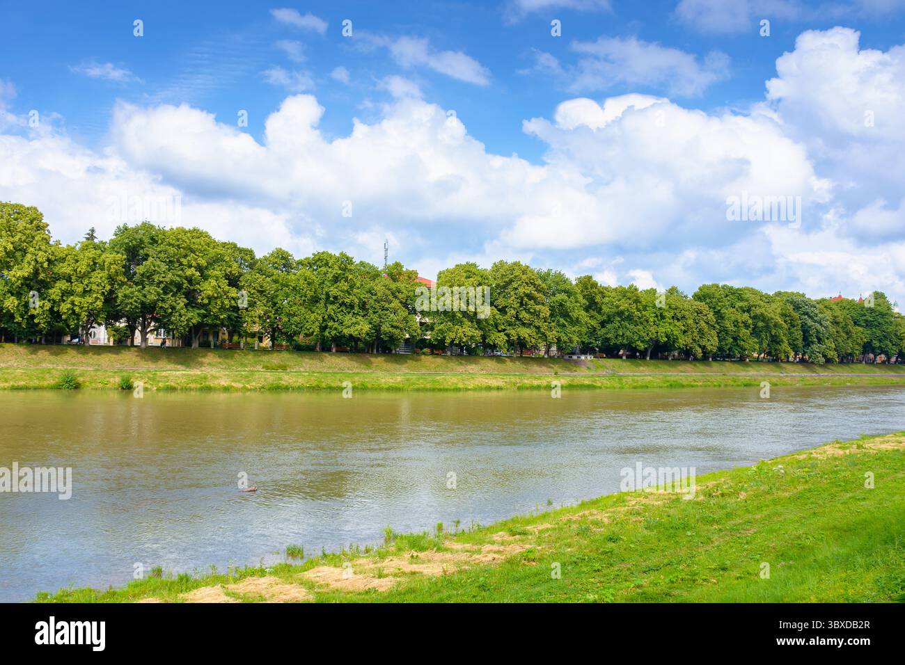 embankment of a river uzh in summer. longest linden alley in europe on a sunny day. view of lush trees near water under blue sky with clouds. beautifu Stock Photo