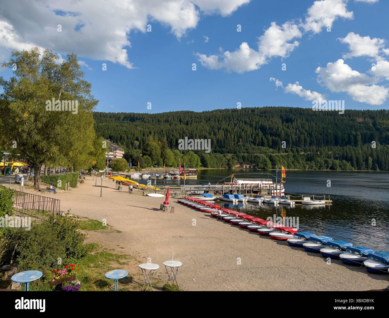 Faszinierend Norma Titisee Neustadt Ebenbild