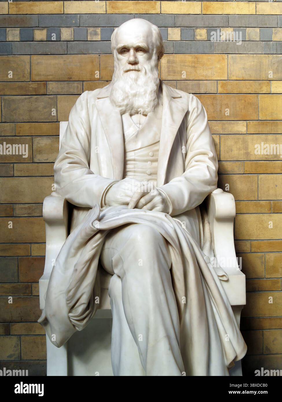Statue of Charles Darwin1809-82, which was placed in the central hall ...