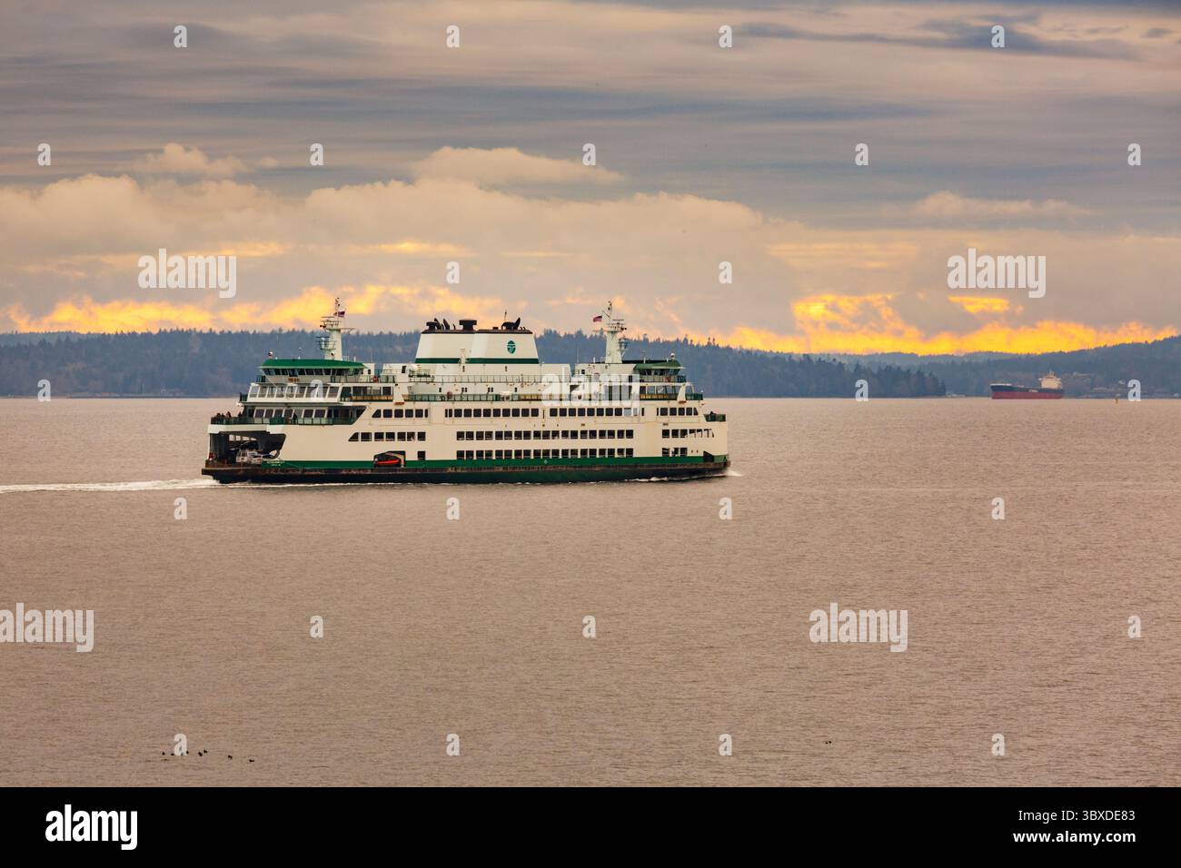 Bainbridge Island to Seattle ferry on Elliott Bay with Mount Rainier in ...