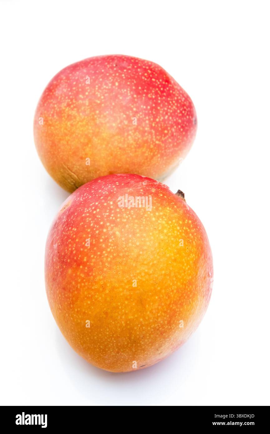 Peruvian Kent mango isolated on a white studio background. Stock Photo