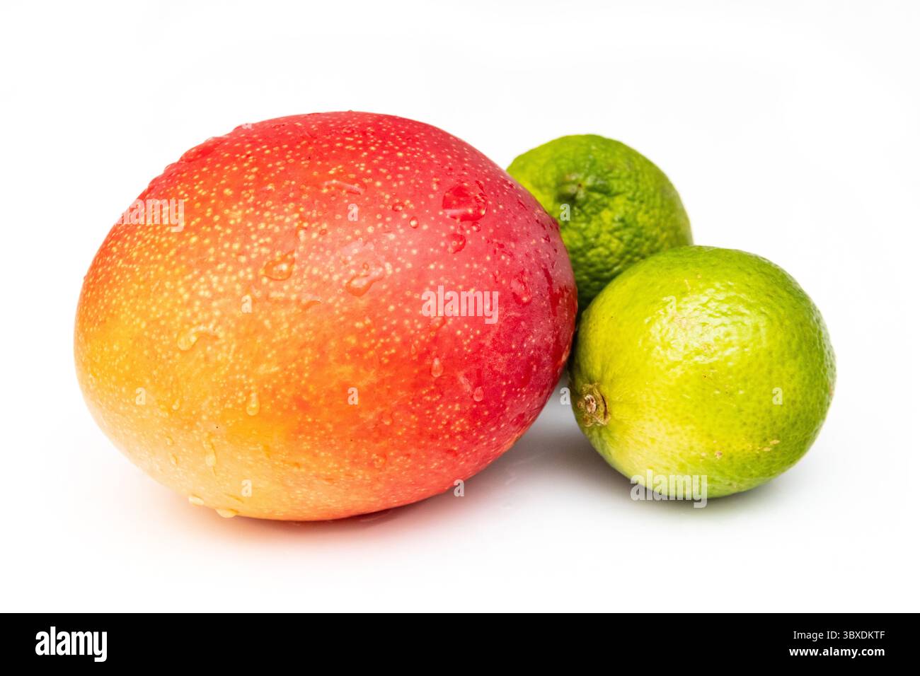 Peruvian Kent mango with limes isolated on a  white studio background. Stock Photo
