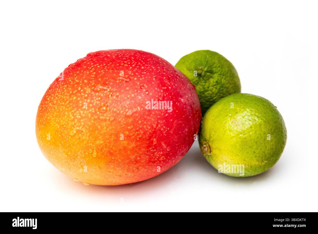 Peruvian Kent mango with limes isolated on a  white studio background. Stock Photo