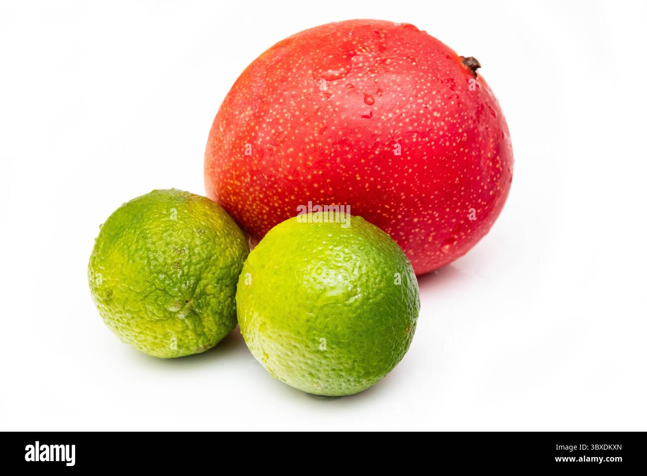 Peruvian Kent mango with limes isolated on a  white studio background. Stock Photo