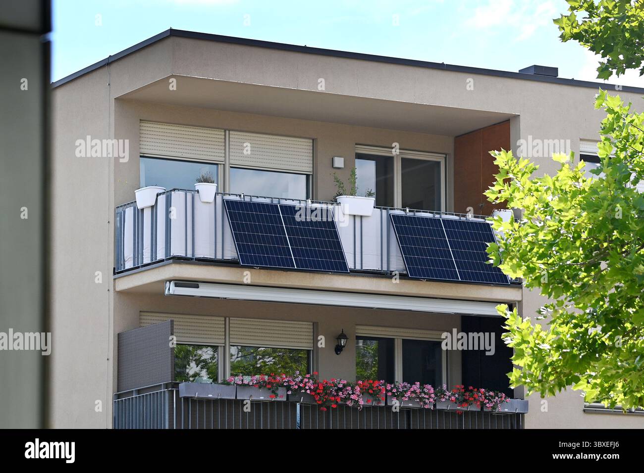 Balcony power plant on the railing of an apartment balcony ...