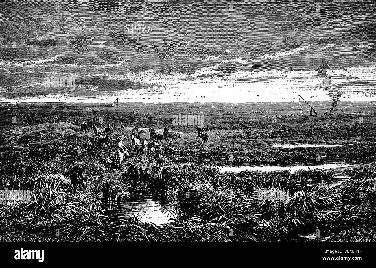 Wide plain of the Puszta or Pussta, water-rich grass steppe, herd of wild horses, Schaduff or draw well, smoke, Hungary, historical view, Seydlitz Geo Stock Photo