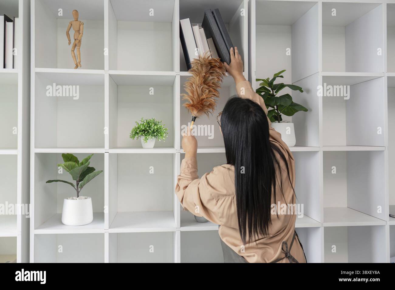 Asian housekeeper uses feather duster to clean office shelves, promoting a dust-free and organized workspace Stock Photo