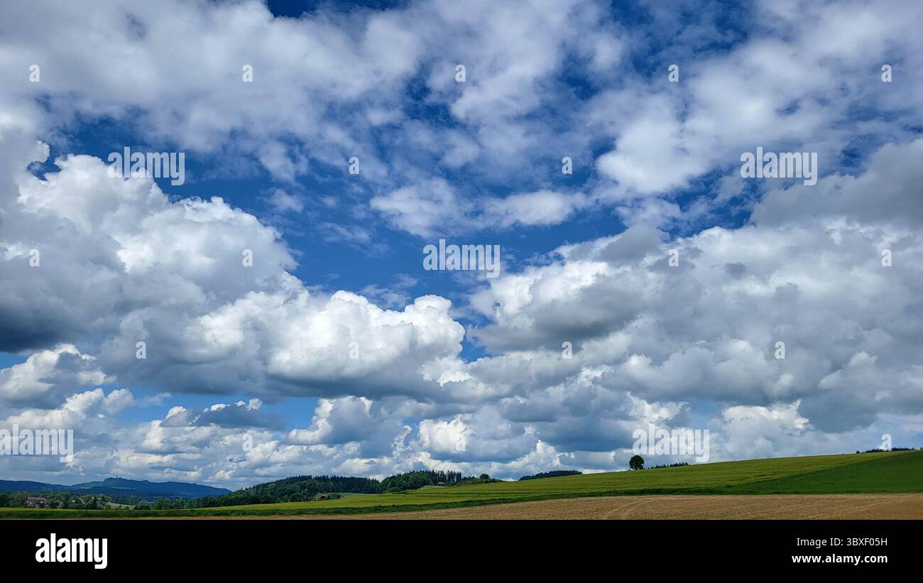 Dramatic cloud formation over meadow landscape with tree in background Stock Photo