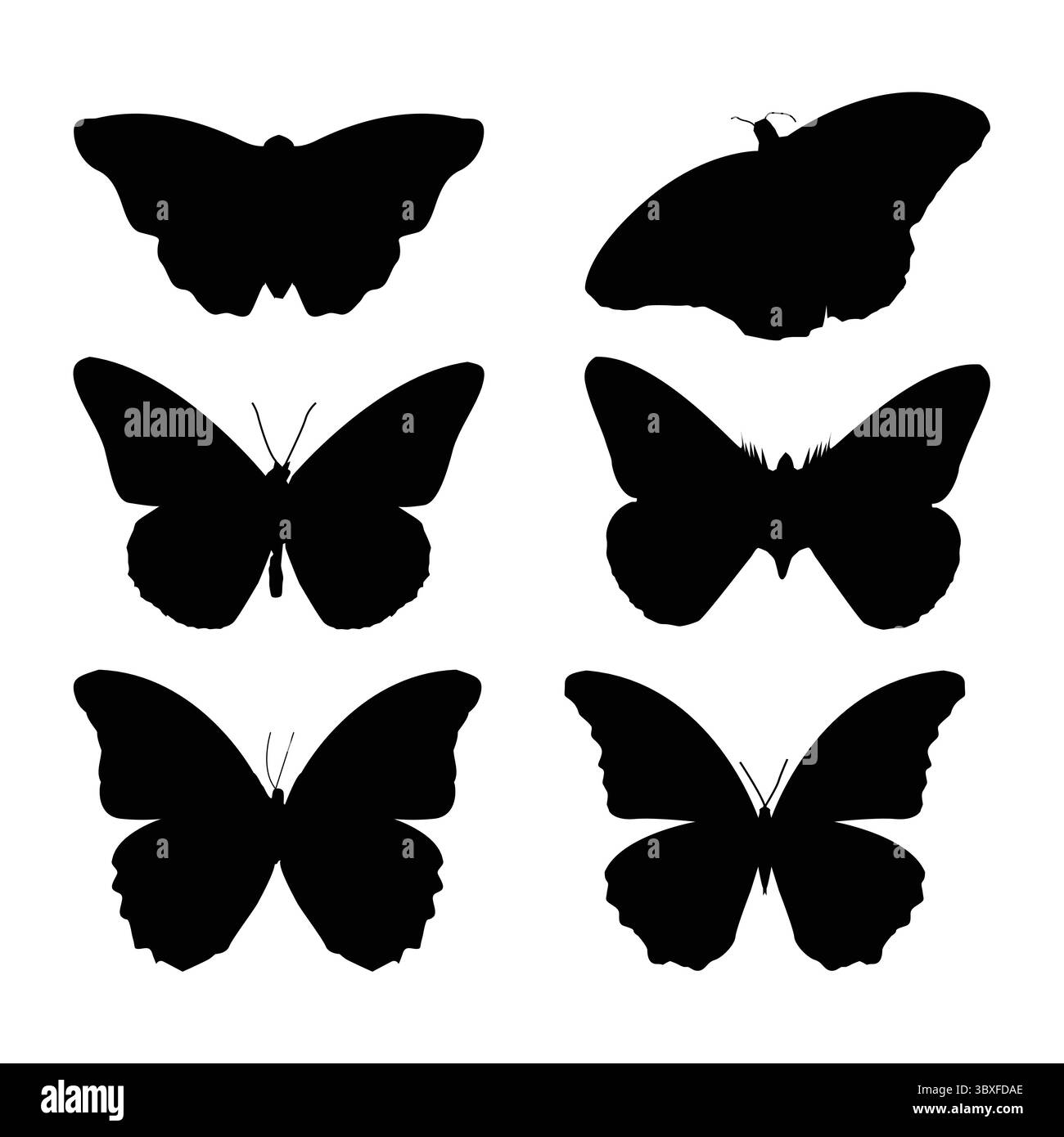 Butterfly black silhouette illustration vector-based drawing Vol 01 Stock Vector