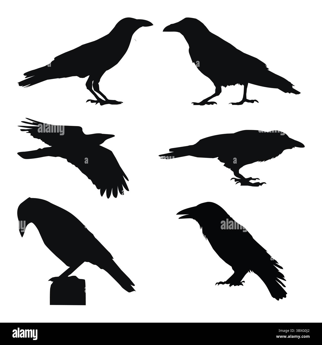 Crow Hand drawing Silhouettes white background Stock Vector