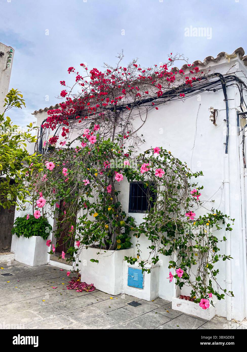 Tranquil cobbled streets and whitewashed buildings in the historic Dalt Vila, Ibiza, Balearic Islands, Spain: Phillip Roberts - Smartphone Captured Stock Image