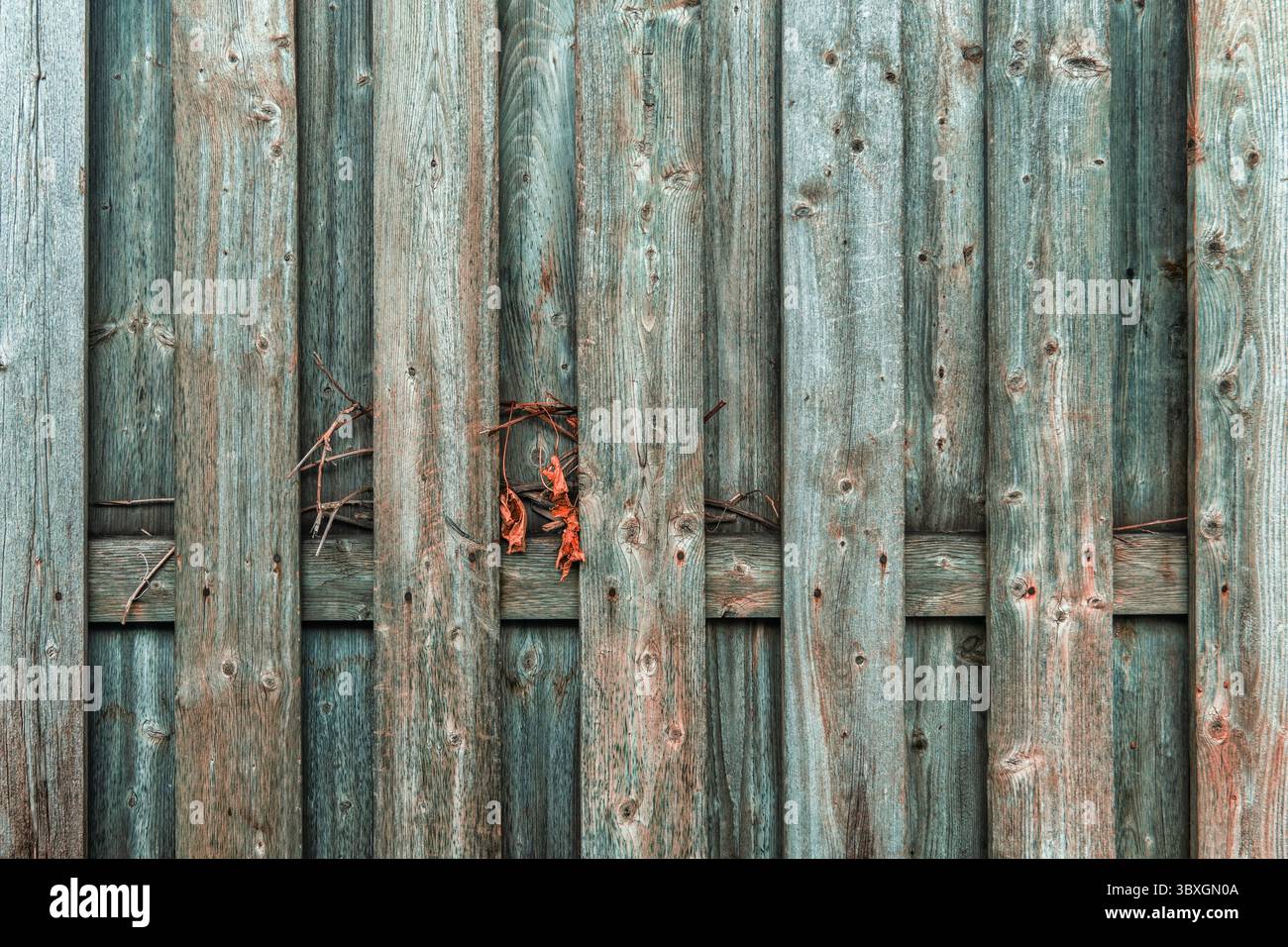 Knotty pine hi-res stock photography and images - Alamy
