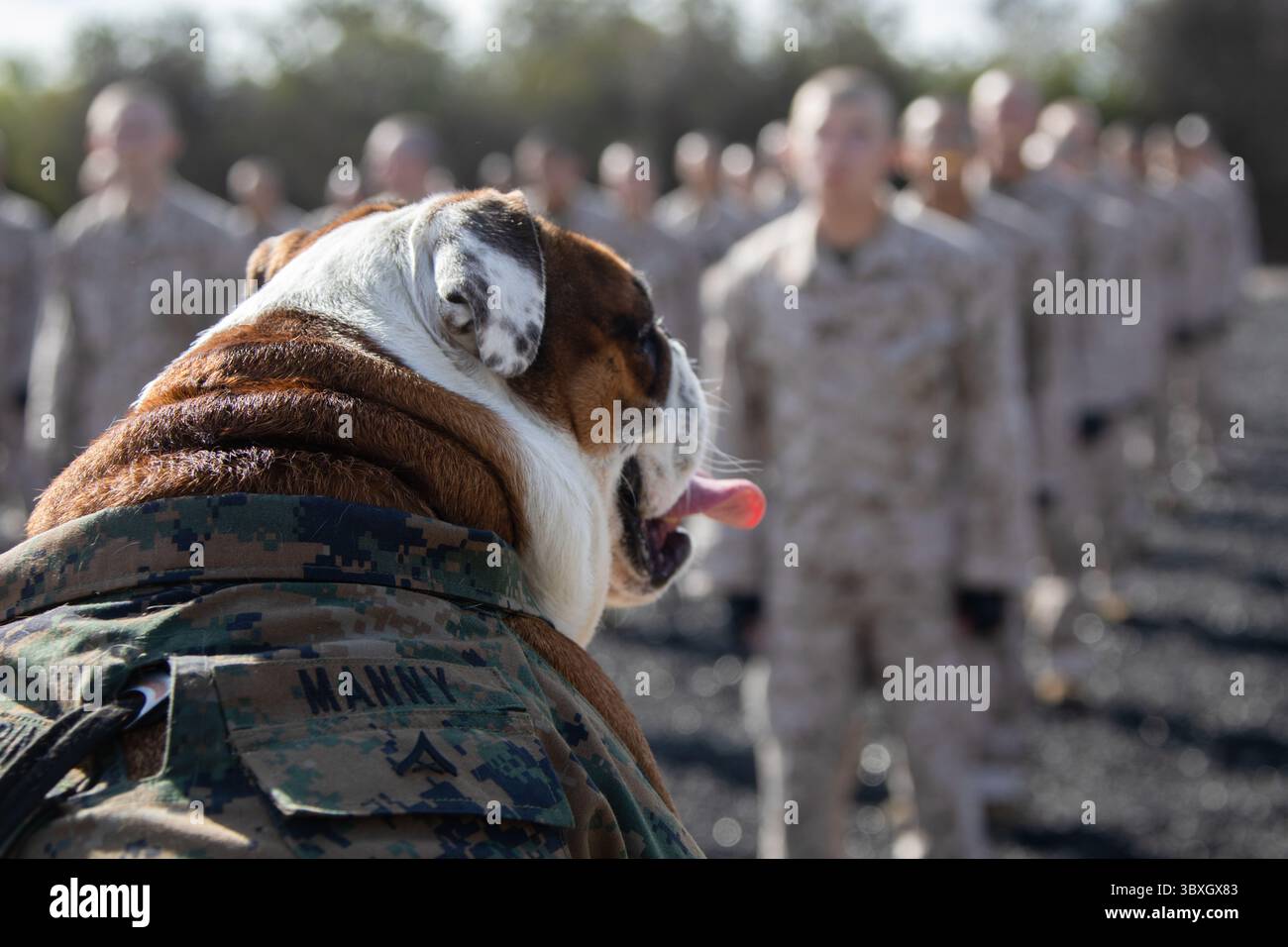 October 25, 2021 - San Diego, California, USA - U.S. Marine Corps Lance ...