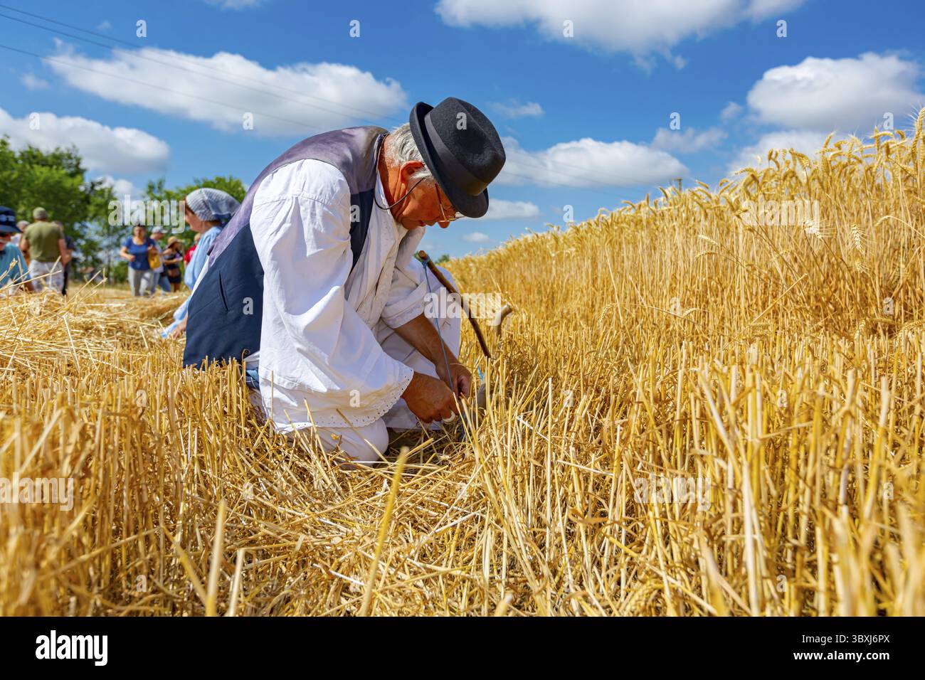thumbnail image 2 of Sharp Alloy Sickle Portable Steel Tooth Agriculture Farm Crops Grass Cutter 2 of 4