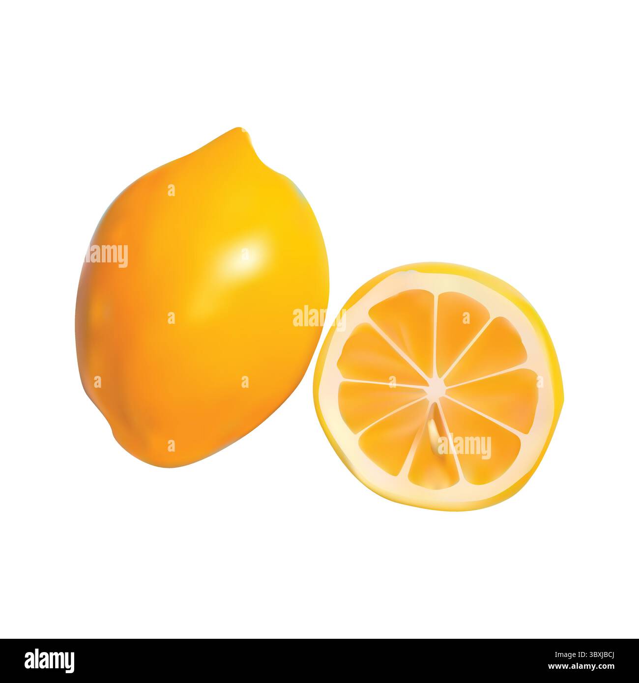lemon illustration vector drawing on white background Vol Stock Vector ...