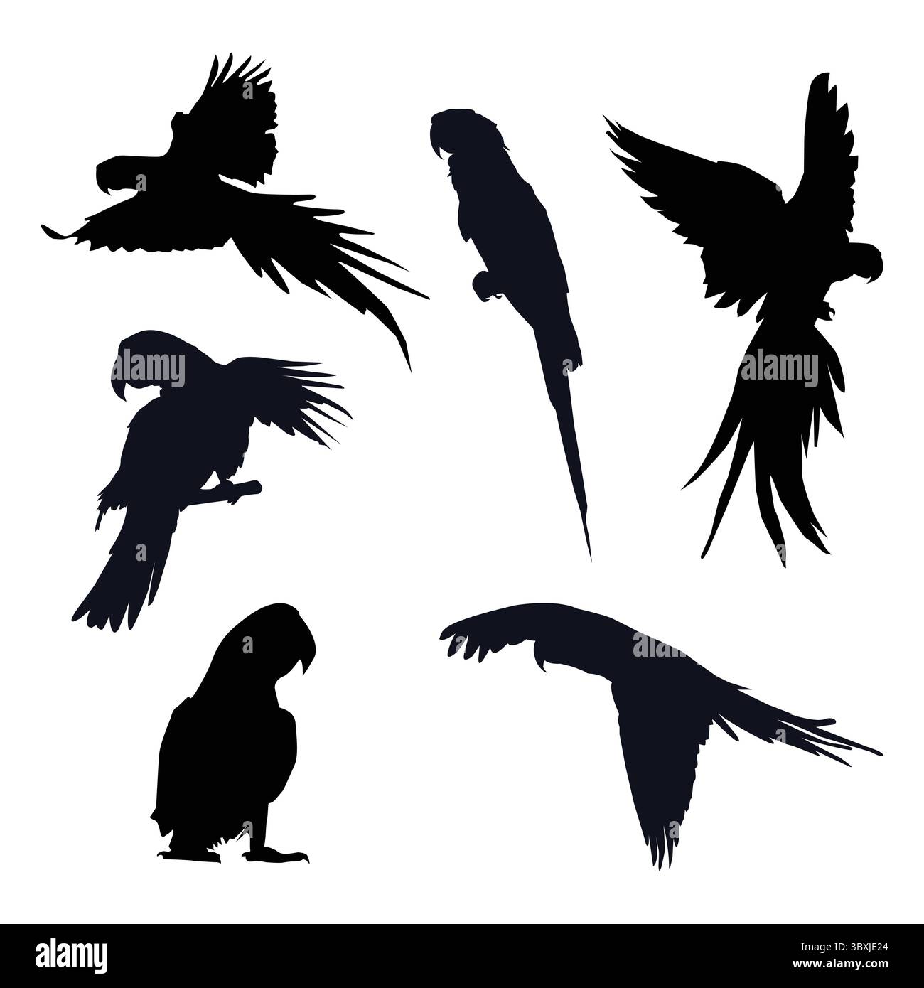 Macaw parrot black silhouette on white background Stock Vector