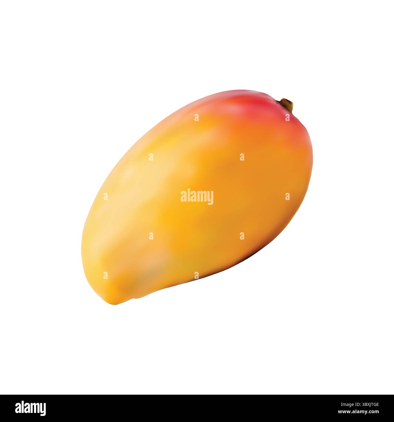 mango illustration on white background vol 01 Stock Vector
