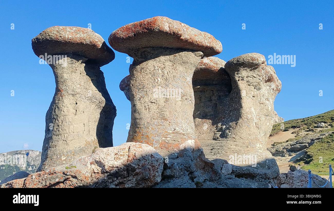 The Old Women (Babele), mushroom shaped rocks in Carpathians, Bucegi Mountains, Romania - Smartphone Captured Stock Image
