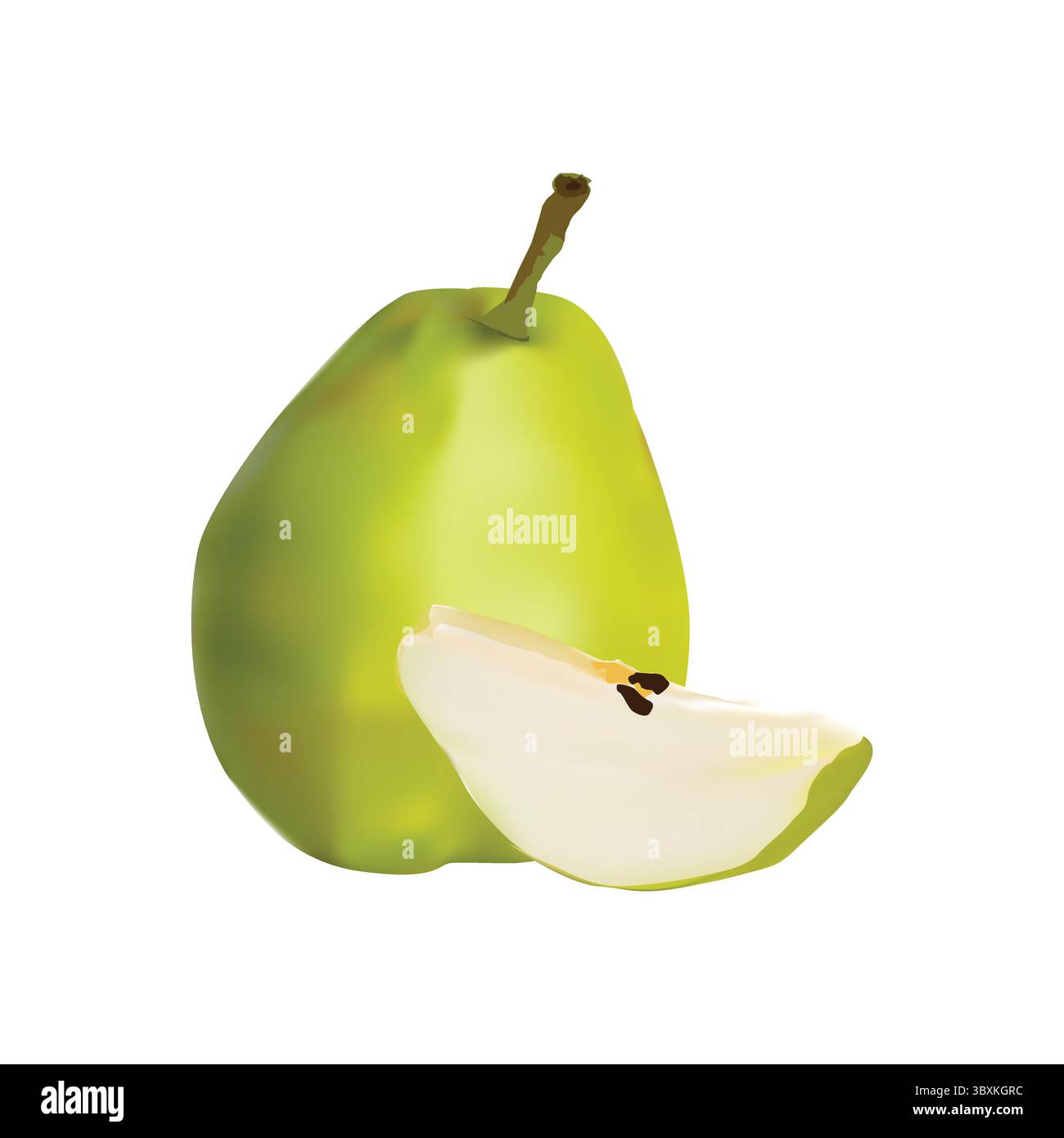 Pear fruit illustration on white background Stock Vector