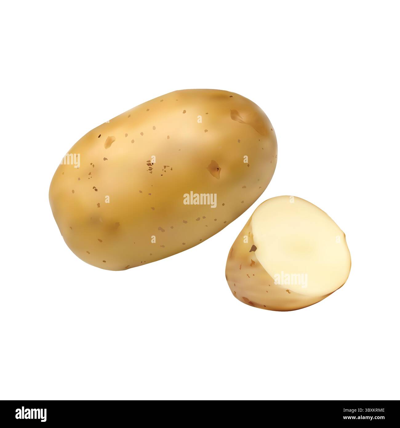 potato illustration on white background vol 01 Stock Vector