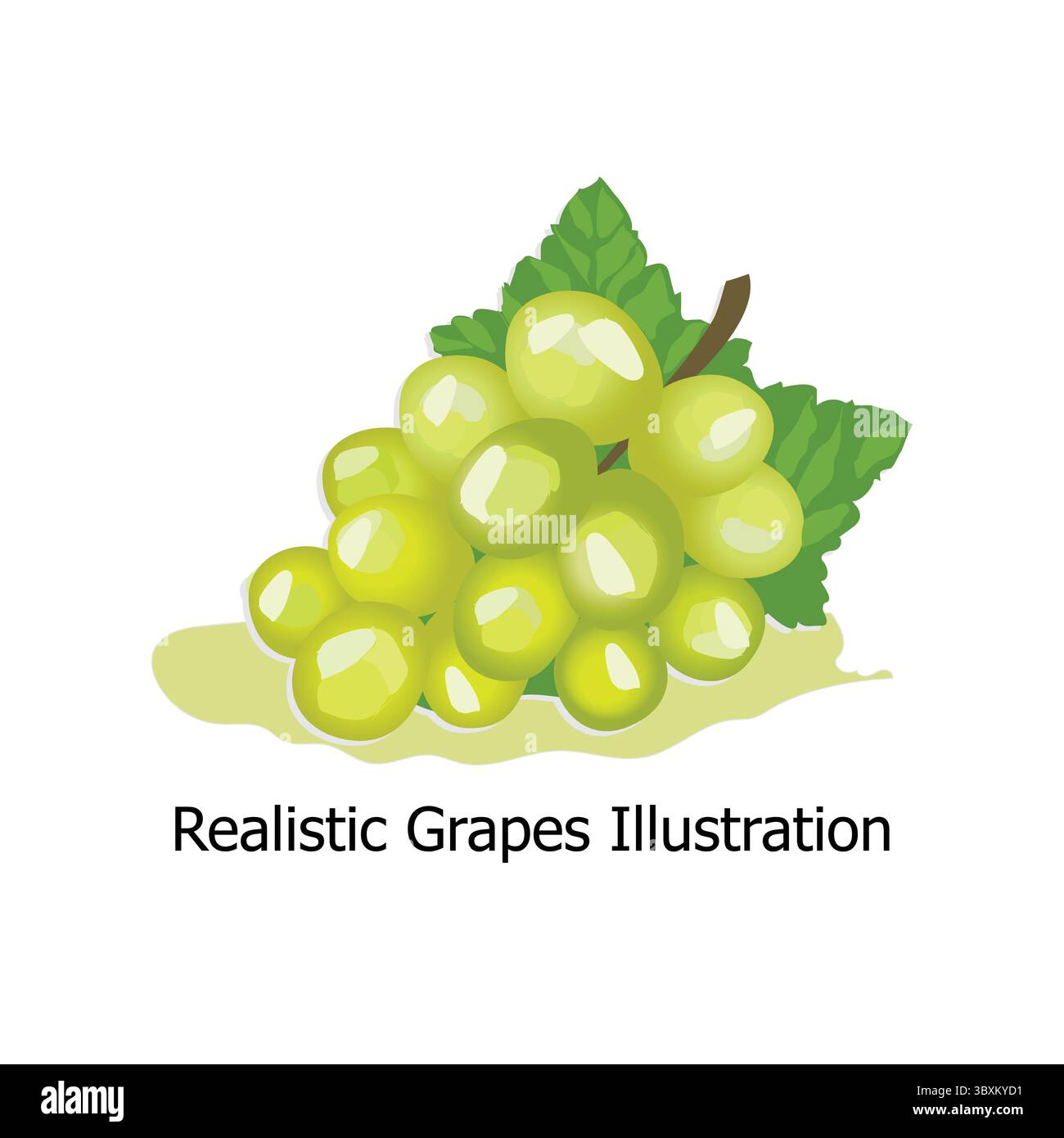 Realistic Grapes Illustration on white background Stock Vector