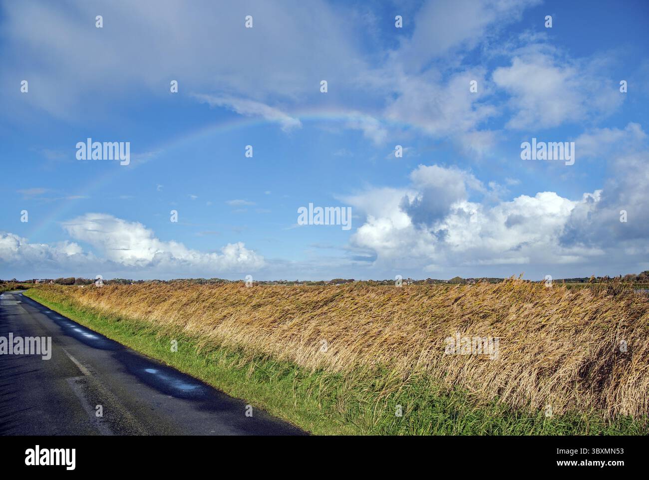 Rainbow over the Sylt landscape Stock Photo