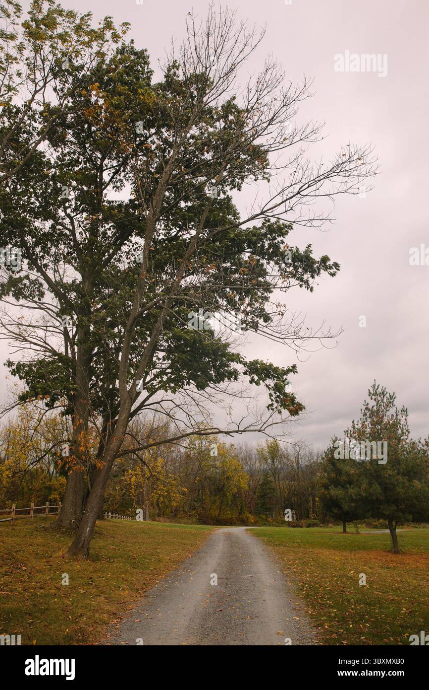 Serene gravel pathway lined hi-res stock photography and images - Alamy