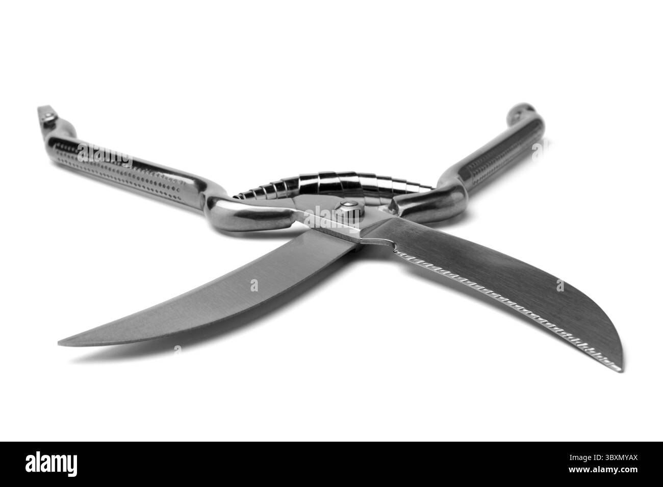 Shears Stock Image Poultry shears on white background Stock Photo - Alamy
