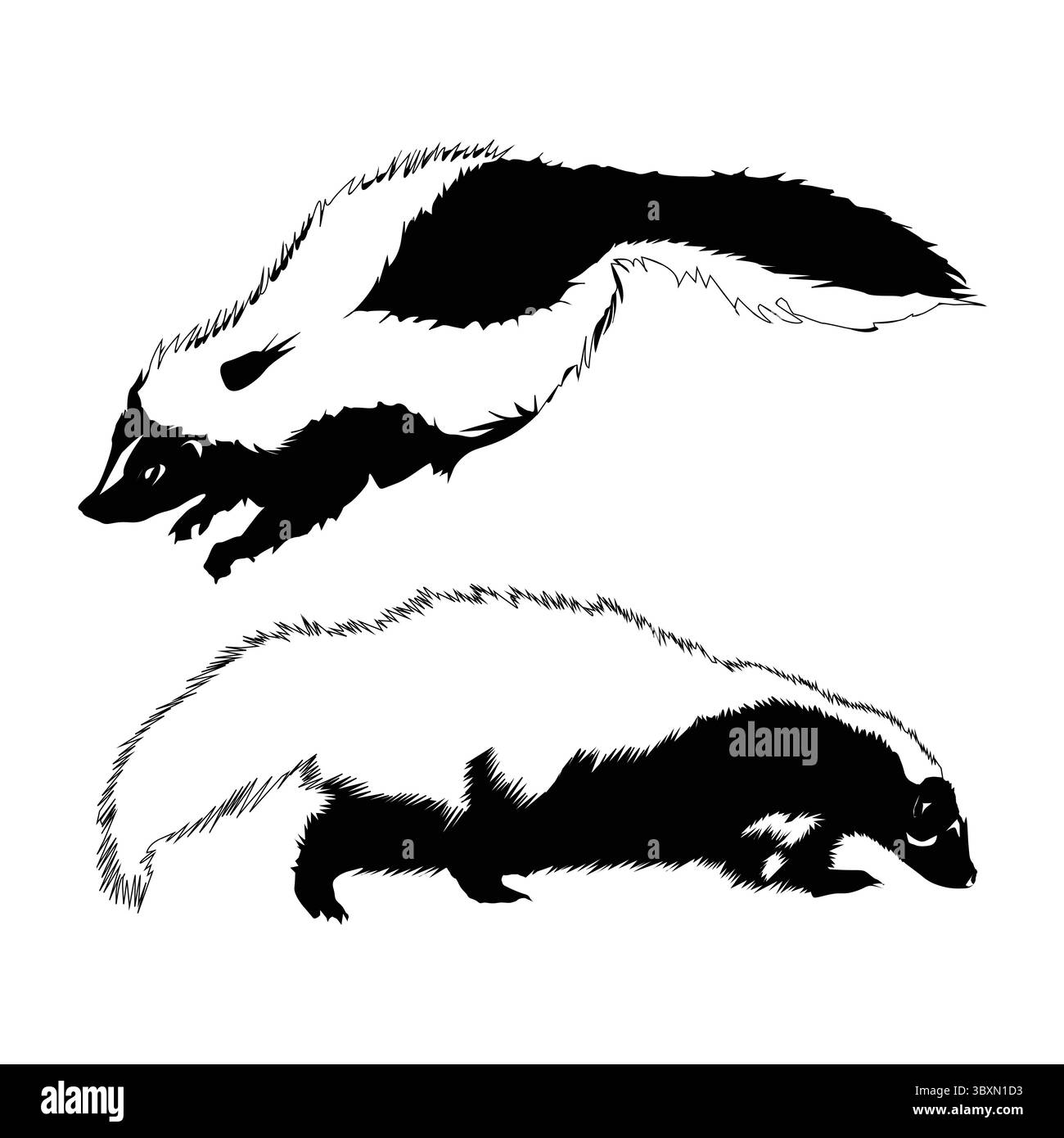 Set of Skunk silhouette, Black and White with white background Vol 01 Stock Vector