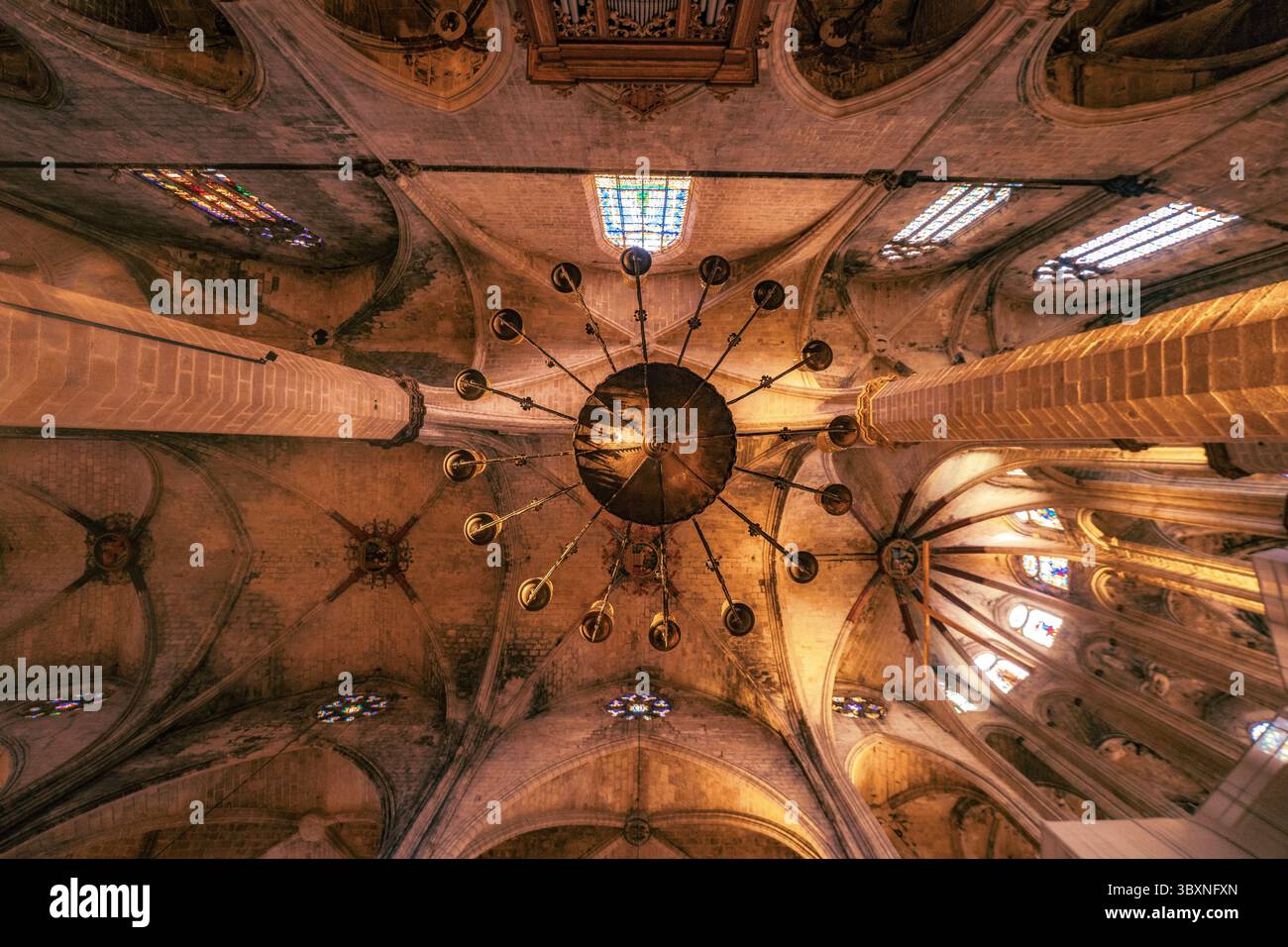 Heavenly Light illuminates the Grand Design of the Barcelona Cathedral, which began construction in the late 13th century. Stained glass windows and a Stock Photo