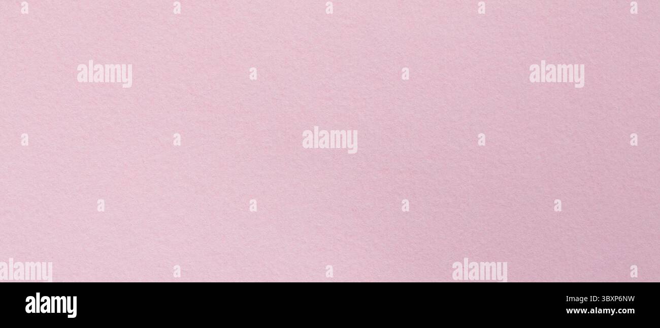 Pink Pastel Paper Texture Background Flat Lay Stock Photo