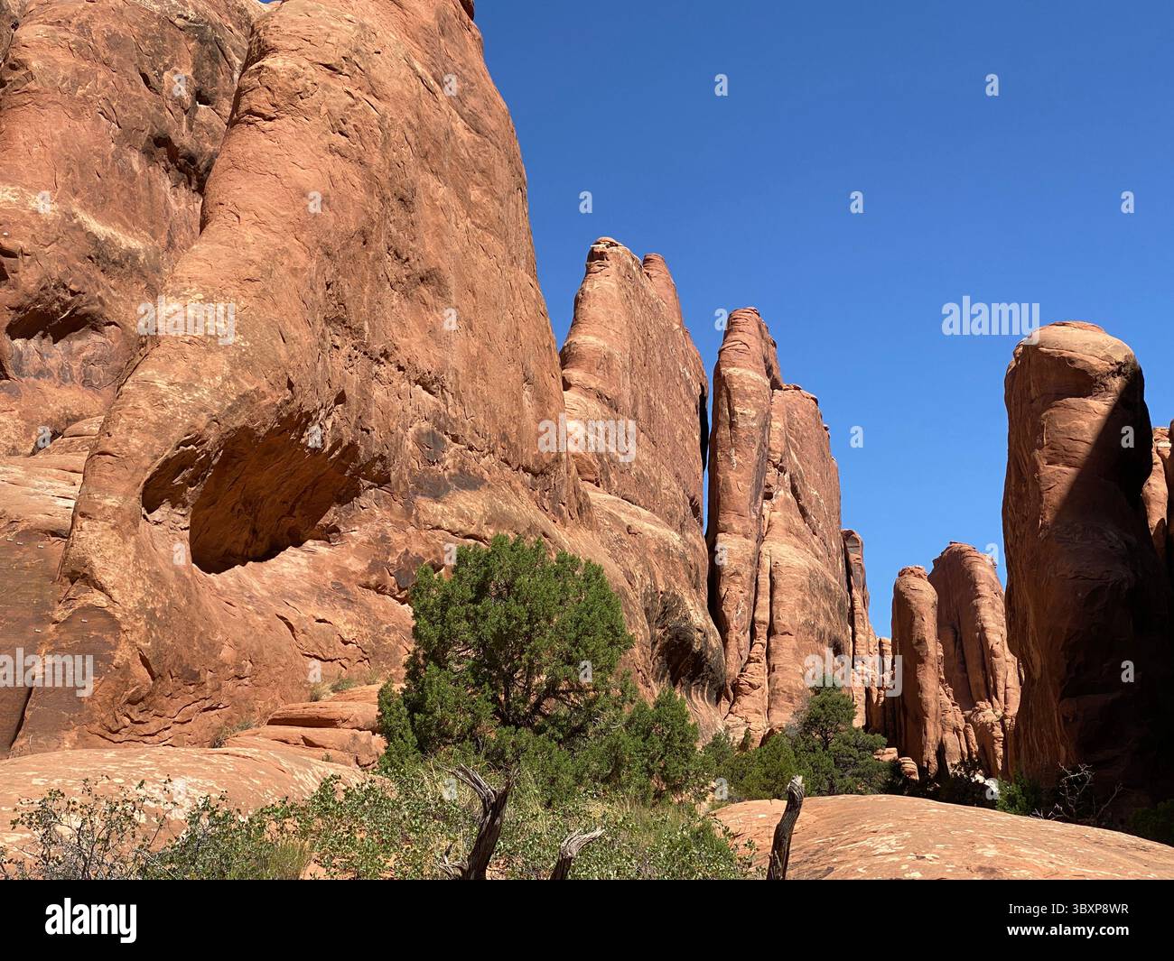 In a canyon on the Fiery Furnace Trail in Arches National Park, looking up at red sandstone rock formations, fins and canyon walls on a summer day wit - Smartphone Captured Stock Image