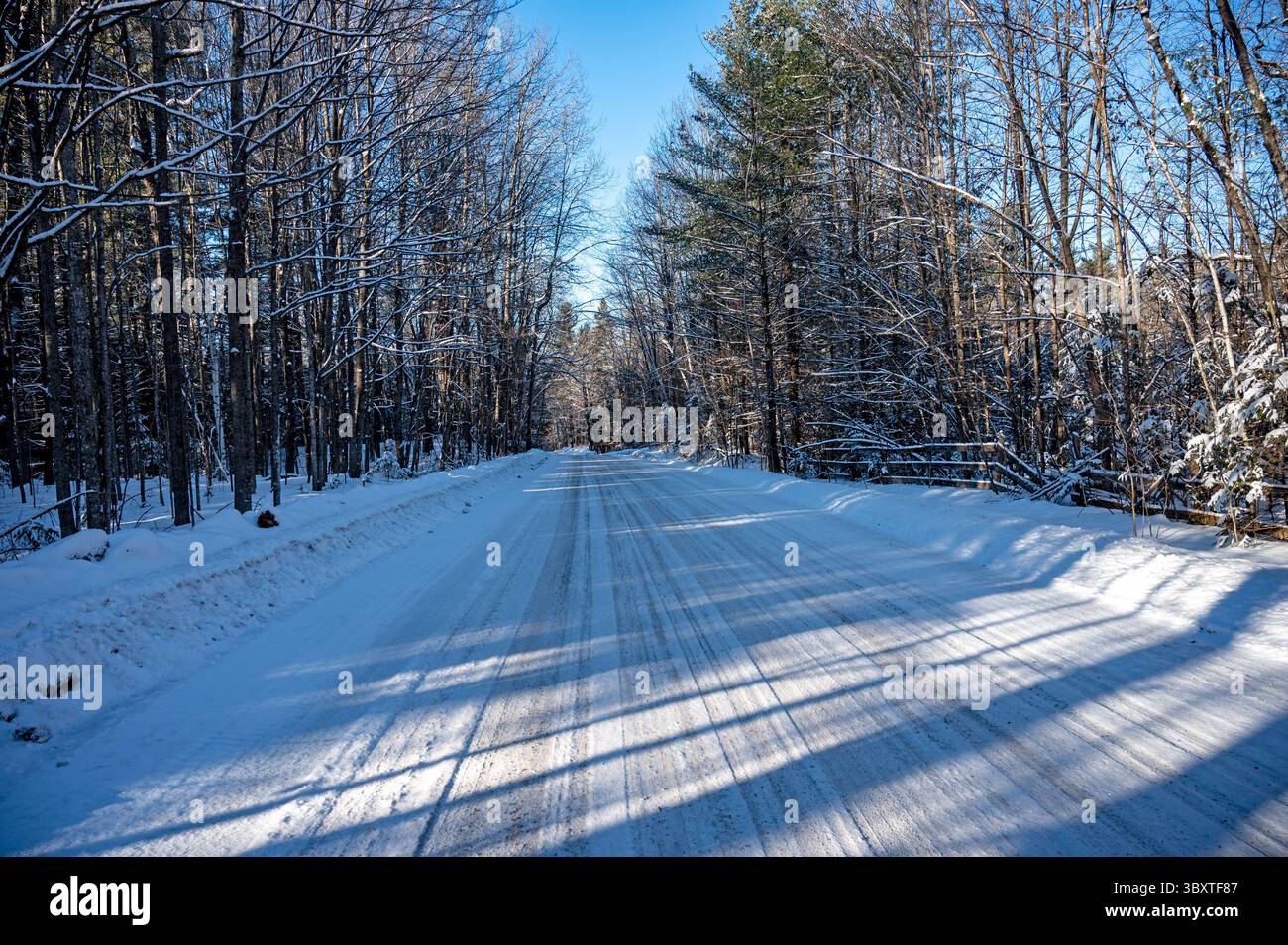 Snow covered landscape in winter Stock Photo